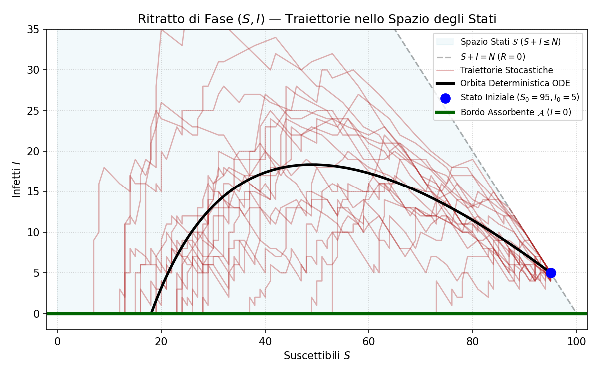 Phase Portrait